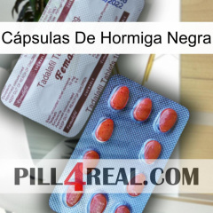 Cápsulas De Hormiga Negra 36